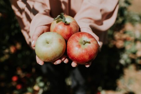 How to Make Pectin for Jams and Jellies Image